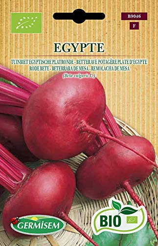 Germisem Bio Graines Betterave potagère plate d'Egypte EGYPTE