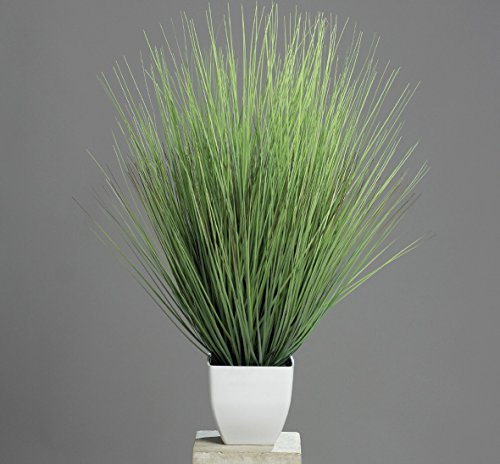 ROLLER Isolepsisgras - Kunstpflanze - im Topf - 80 cm