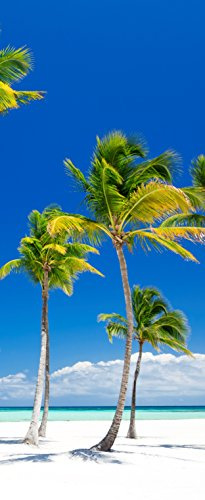 Melis-Folienwerkstatt Tür-tapete Tür-Poster selbstklebend – Palmen am Strand Urlaub Südsee Karibik – 100x210cm - Foto-tapete Tür-Folie – T00014-1-teilig