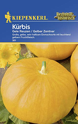 Kiepenkerl 381 Kürbis Gele Reuzen/Gelber Zentner (Kürbissamen)