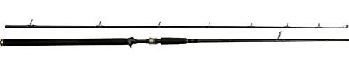Westin W3 XH Powercast-T 2ND 248cm 20-80g - Baitcaster Rute zum Hechtangeln, Spinnrute für Baitcasterrollen, Hechtrute zum Kunstköderangeln