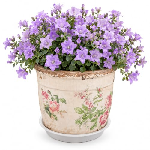 PRETYZOOM Retro Ceramic Succulent Pot 4.92 Inch Floral Print Planter Container with Drainage Hole Small Indoor Plant Holder for Desk Windowsill Office Decoration