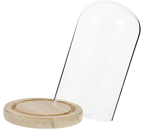 COLLBATH Garden Cloche with Glass Cover Display Preserved Flowers Silk Arrangement