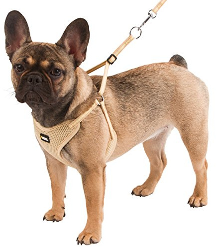 Kerbl Pet Harnais pour Chiots Beige, 30-50cm, 10mm, 3pcs