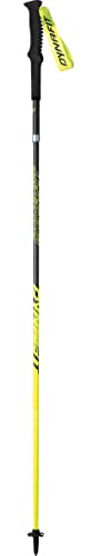 DYNAFIT Vert Pro Pole Fahrerstand