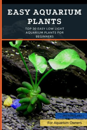 Easy Aquarium Plants: Top 30 Easy Low Light Aquarium Plants for Beginners