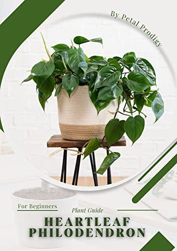 Heartleaf Philodendron: Prodigy Petal, Plant Guide