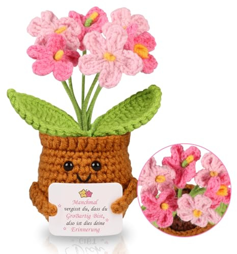 WenmthG Gestrickte Rosa Vergissmeinnicht Glücksbringer Geschenke für Frauen Freundi Kollegin Schwester Mama Oma Anti Stress Geschenk Mutmacher Pocket Hug Positive Kartoffel Deutsch Ersatz
