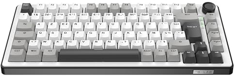 The G-Lab KEYZ Elite 300 WG - Clavier Gamer sans Fil TKL, Tri Mode 2.4 Ghz/Bluetooth/Filaire - Clavier Mécanique Hot Swap, Switch Pré-lubrifié, Gasket 5 Couches, RGB+Macro - AZERTY FR - Windows/Mac