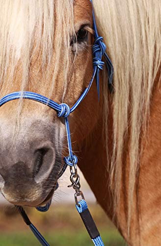 BeGentle Knotenhalfter Braun – Weiches, anschmiegsames Material – zweifarbige Optik – für Bodenarbeit & gebissloses Reiten – Größe Kaltblut