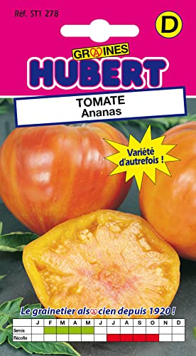 20 Graines de Tomate Ananas