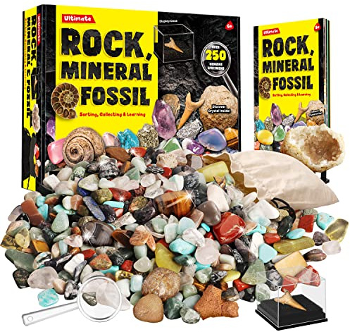 XX Edelsteine und Fossilien Set für Kinder - 250 Steine Set Mit Unterschiedlich Kristalle, Mineralien, Geoden, Edelsteine, Fossilien - Edelsteinsammlung Spielzeug Junge Mädchen 6 7 8 9 10 11 12 Jahre