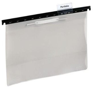 DURABLE Hängehefter, DIN A4, grau, 60 mm Vollsichtreiter