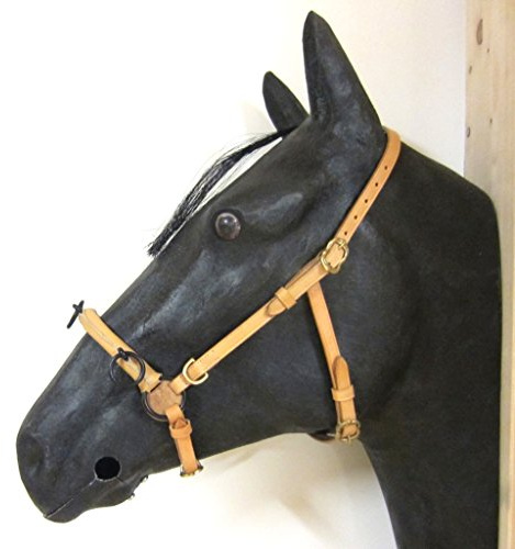 Französischer Kappzaum Cavecon / Cavesson mit D-Ringen SOFT - Gr. COB
