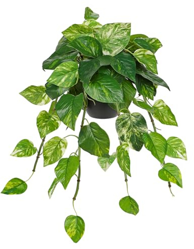 Hollyone Pothos - Planta artificial en maceta, plantas verdes, decoración de interior como real, pequeña con maceta para salón, dormitorio, cocina, cuarto de baño
