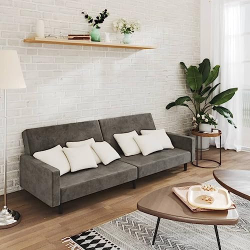 LAPOOH Schlafsofa 2-Sitzer Dunkelgrau Samt, Loungesofa, Sofas & Couches, Relaxsofa, Couch für Wohnzimmer - 375738