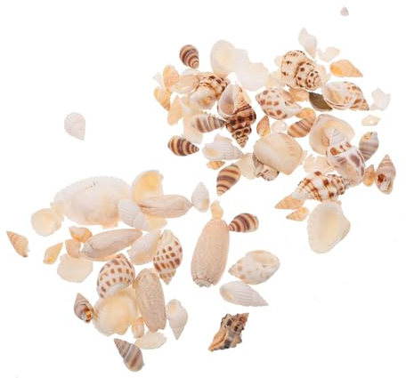 KONTONTY 2 Boîtes Coquillages Naturels de Mer pour Décoration de Plage Lot de Ornements DIY avec Coquilles de Nacre pour Aquarium et Micro
