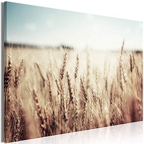 murando - Leinwandbild Getreide Wiese Landschaft, 120x80 cm, 1-teilig | Hochwertige Leinwand, sofort aufhängbar, ideal fürs Wohn- oder Schlafzimmer, wasserfest und lichtecht, langlebig, stilvoll