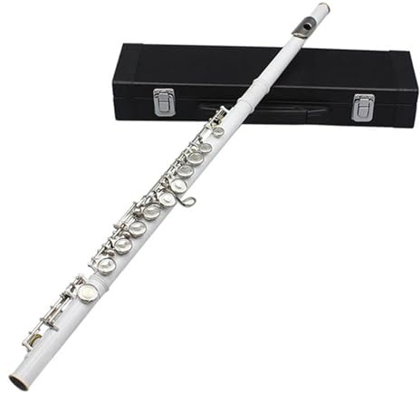 Flöte 16 Löcher Geschlossene Flöte C-Taste Weißes Kupfernickel-Konzert Querflöte Musikinstrument Mit E-Taste Zubehör