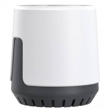 NGTFDCP Pluviometro, Pluviometro Digitale Wireless da Esterno con App