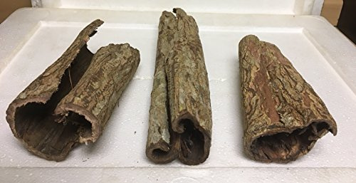 Catappa-Leaves 3 Bizarre Höhlen für natürlich gesundes Wasser, Aquarium Dekoration vom asiatischen Seemandelbaum/Marke (Größe 4 von 4)