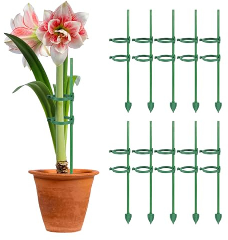 Zidoley Tuteur pour Monstera, Lot de 10 pièces, tuteur en Mousse pour Monstera, avec 20 Attaches à Pression et 10 Supports pour Le Sol, 30 cm pour Une Utilisation en intérieur
