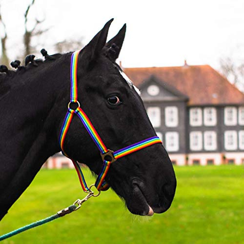 Headcollar for Horse, Warm-Blood, Thoroughbred, Cold Blood - Stable Halter, Pasture Halter, 2 Adjustable Positions on Chin Strap and Headpiece, Safe & Tear-Resistant (Colourful, Cold Blood)