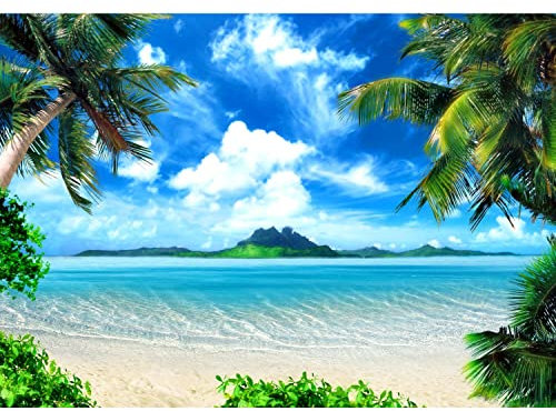 Runa Art Fototapete Strand und Meer 352 x 250 cm Vlies Tapeten XXL Moderne Wandtapete Wohnzimmer Schlafzimmer Grün Blau 9004011a