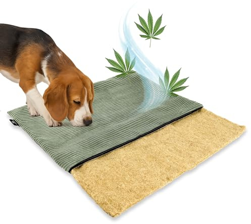 mümmi Hundematte HANF, allergikerfreundlich (Salbei, Gr. 2 (große Hunde)) | Geruchsbindend, Allergikerfreundlich, Waschbar bei 60°, Eckig rutschfest, Hundematratze