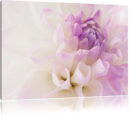 Pixxprint wunderschöne Blüte mit lila Blütenblätter B&W, Größe: 80x60cm, Leinwandbild, fertig gespannt, Wandbild, Dekoration, Kunstdruck, kein Poster