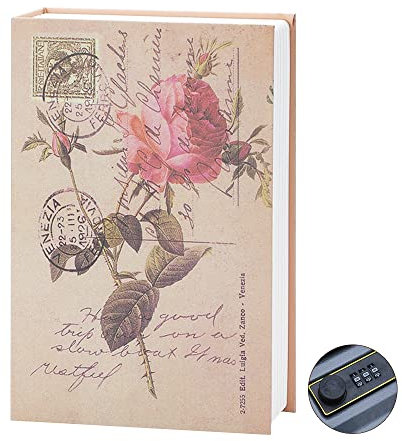 HIULLEN Cassaforte Libro con Serratura a Combinazione, Cassaforte per Libri Segreti, Cassetta Portavalori a Forma di Libri Portatile per Conservare Contanti Gioielleria (Rosé)