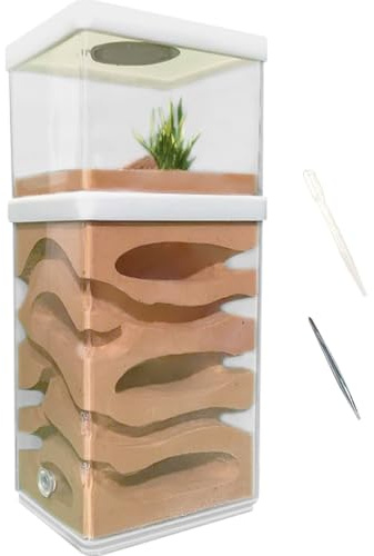 La La Pet Ant Farm Box Detachable Breeding Boxes Plaster Ant Home for Students Study Ant Behavior Observation Educational Formicarium Ant Nest Farm