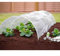 Sustainable Greenhouse Tunnel Foil Designed Specifically for Agricultural Efficiency Needs (2 m)