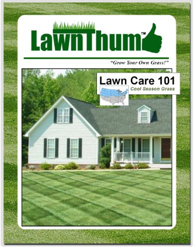 Lawn Care 101 - Cool Season Grass