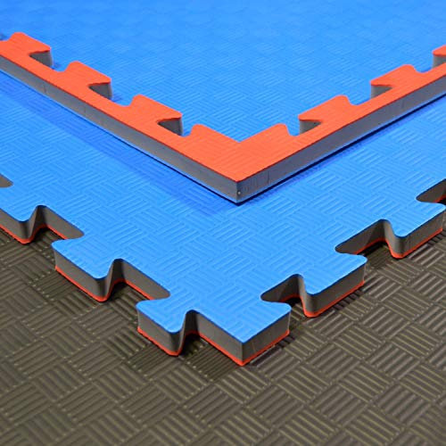 Budodrake Fitnessmatte/Sportmatte Regular blau-rot / 100 x 100 x 2cm verzahnt als Set (9 Stück)