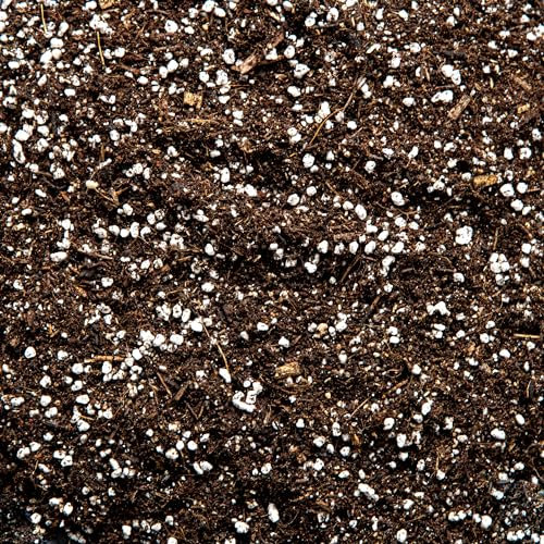 Superior Cacti and Succulent Potting Mix - Enriched with Nutrients (10L)