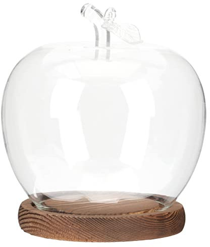 Alipis Glaskuppel Mit Sockel Transparente Glasabdeckung Für Blumenschutz Exquisiter Schmuck Für Kleine Aufbewahrungsbehälter Aus Glas Und Holz Gefertigt