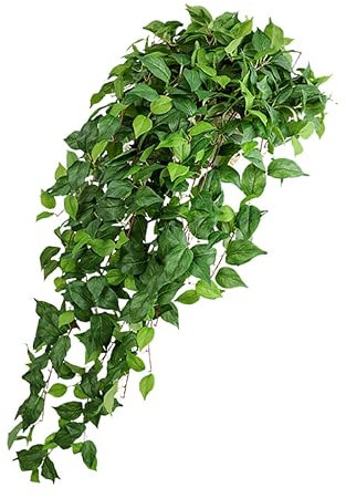 MAGICLULU 1 Pieza Planta Verdes montada en la Pared de Hiedra vides Interior Planta Artificial pequeña Planta Colgante Decoración del baño Hoja de Material de Tela de Seda de