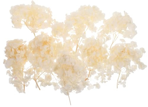 UKCOCO Petali di Ortensia Essiccati per Decorazioni Fai da Te per Feste Petali di Fiori per Matrimoni Fiori Secchi per Decorazioni Vintage Coriandoli per Matrimoni di Ortensia