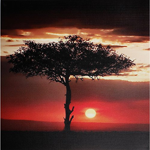 wortek Bild 30 x 30 cm UV Druck wasserfest inkl. Aufhängung Sonnenuntergang Afrika Baum
