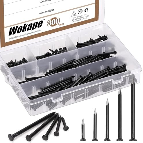 Wokape Kit di 301 chiodi assortiti in acciaio, 20 mm, 30 mm, 40 mm, 50 mm, 60 mm, multicolore zincato, chiodi da parete per appendere quadri, chiodi piccoli, chiodi in legno (nero)