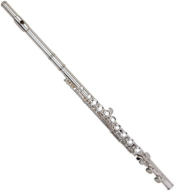 Querflöten Flöte 16-Loch-Flöte Anfänger der Flöte mit geschlossenem Loch spielt