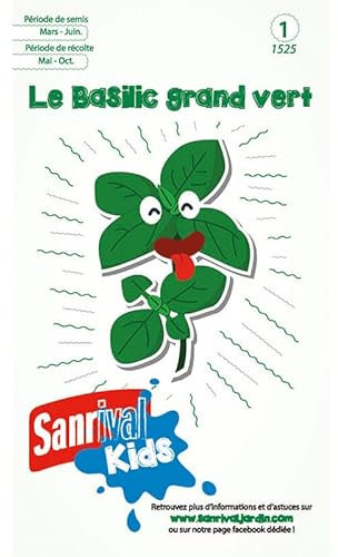 Graines Basilic Grand Vert pour Enfants