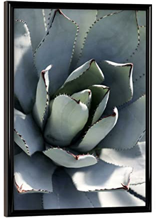 artboxONE Poster mit schwarzem Rahmen 18x13 cm Natur Agave Pastell Grün - Bild Agave Blatt blau