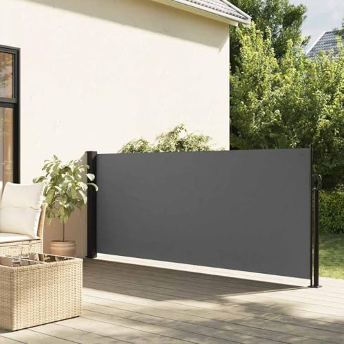 Generico Tenda da Sole Laterale Retrattile Antracite 120x600 cm,Ombrelloni e Parasole