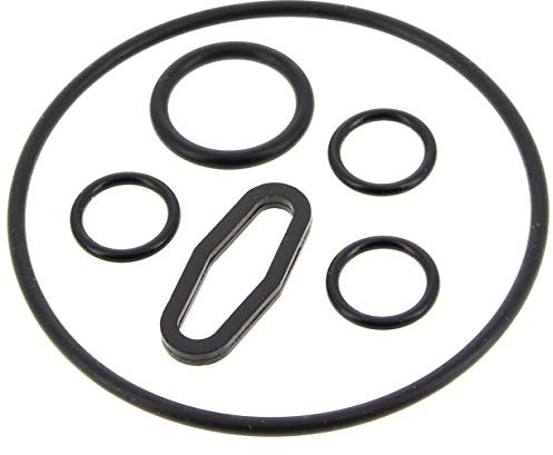 Lavor Kit Joints 209 pour Nettoyeur Haute Pression