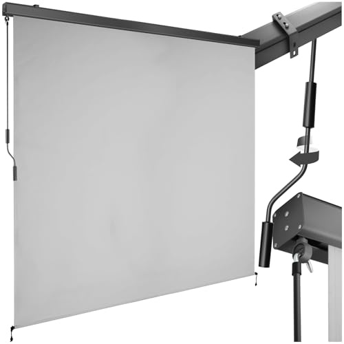 tectake® toldo Vertical Exterior Enrollable con manivela, Soporte toldo, Toldos Exterior Terraza y balcón, protección Solar y Cortavientos, Tela toldo Balcon Resistente - 200 x 250 cm Gris Claro