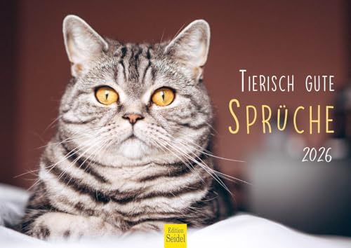 Edition Seidel Premium Kalender Tierisch gute Sprüche 2026 Format DIN A4 Wandkalender Tierkalender mit Sprüchen Katzen Hunde Pferde Vögel Schnecken Schweinchen Kitten lustige coole Zitate