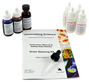 Gram Stain Kit, 7 Dropper Bottles - Crystal Violet, Safranin O 1.0%, Potassium Iodide 1.85%, 95% Denatured Ethyl Alcohol (4x25mL) - Includes Instructions - Innovating Science