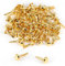 TPZORJX 100 Stück Mini Brads - Musterbeutelklammern Rundkopfklammern Musterklammern Metall Rundkopfklammern Scrapbooking Brads Musterklammern für Kartenherstellung Scrapbooking Kunst Basteln DIY(Gold)